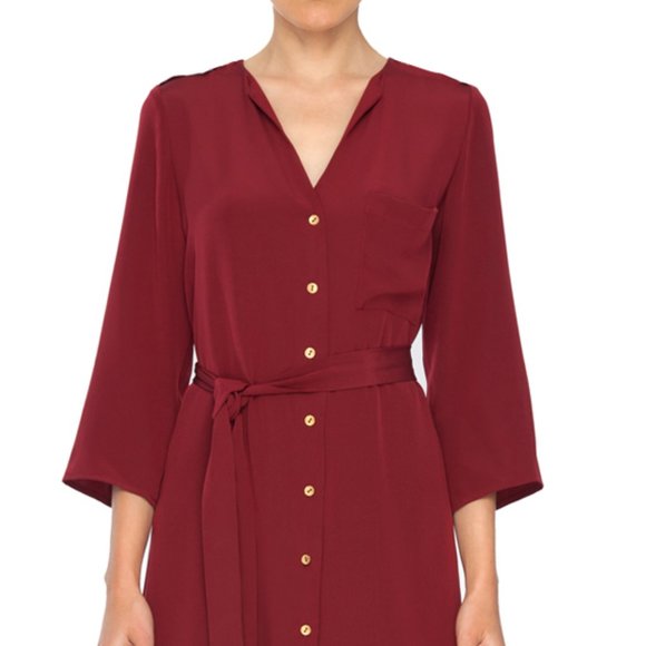 Amour Vert Emily Button Front Silk Mini Dress Cabernet - Picture 3 of 3